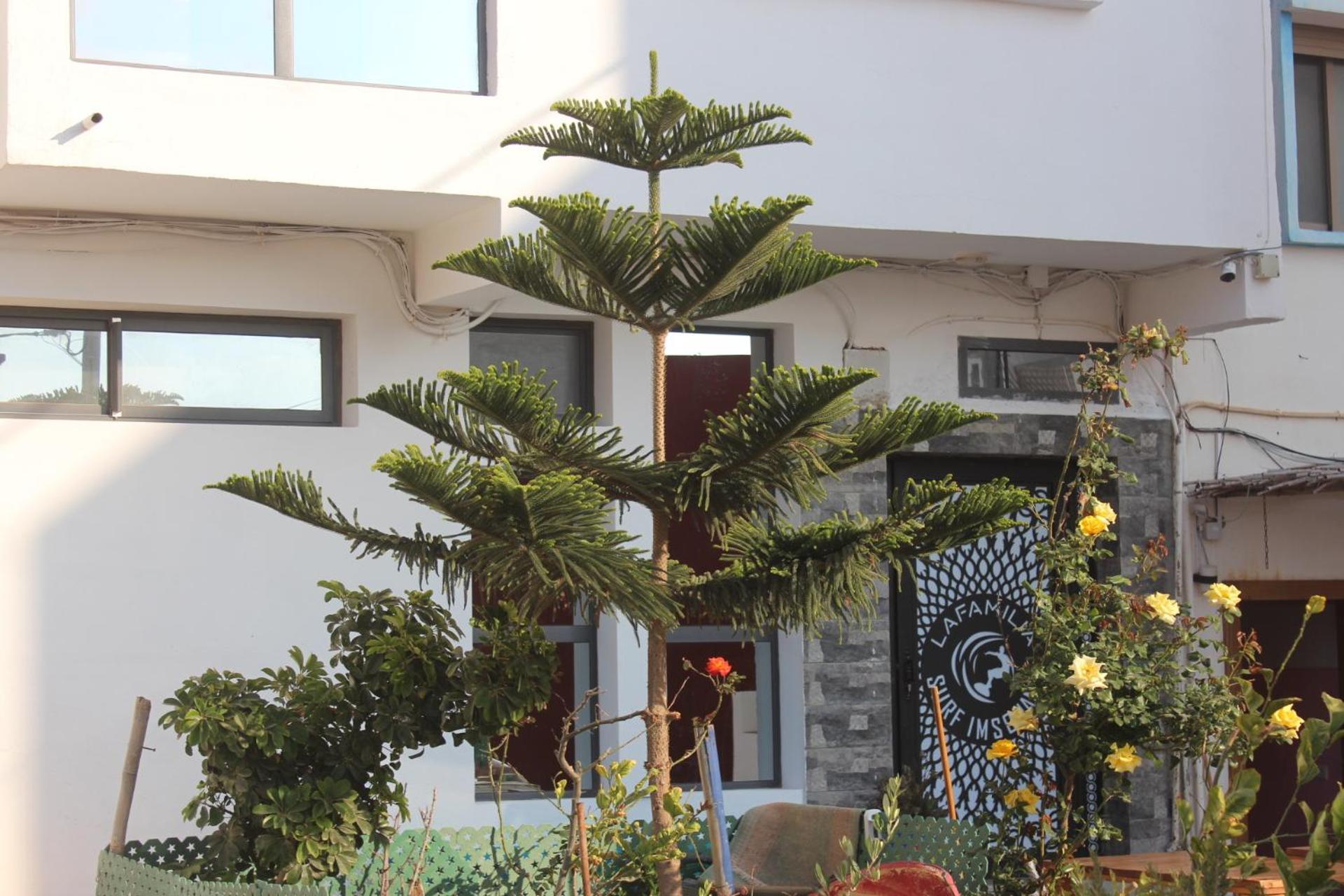 Hotel Lafamilia Surf Imsouane Exterior foto